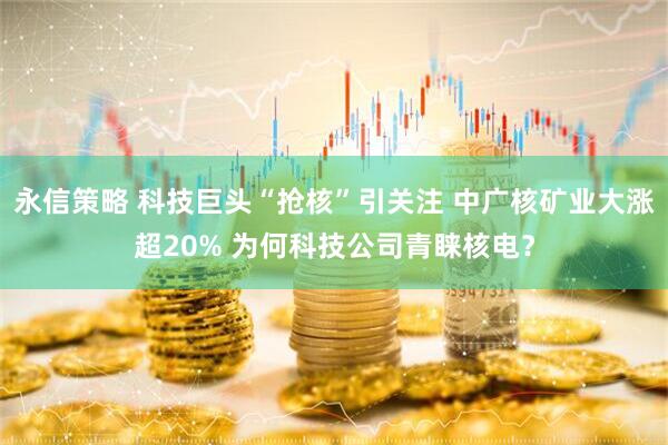 永信策略 科技巨头“抢核”引关注 中广核矿业大涨超20% 为何科技公司青睐核电？
