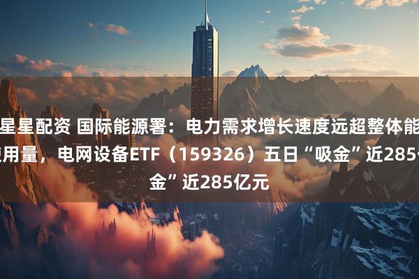 星星配资 国际能源署：电力需求增长速度远超整体能源使用量，电网设备ETF（159326）五日“吸金”近285亿元