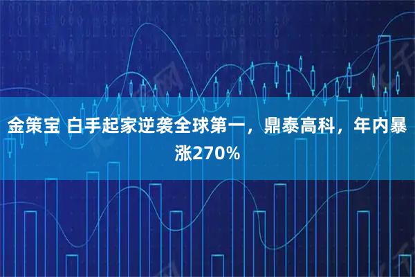 金策宝 白手起家逆袭全球第一，鼎泰高科，年内暴涨270%